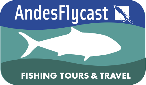 AndesFlycast