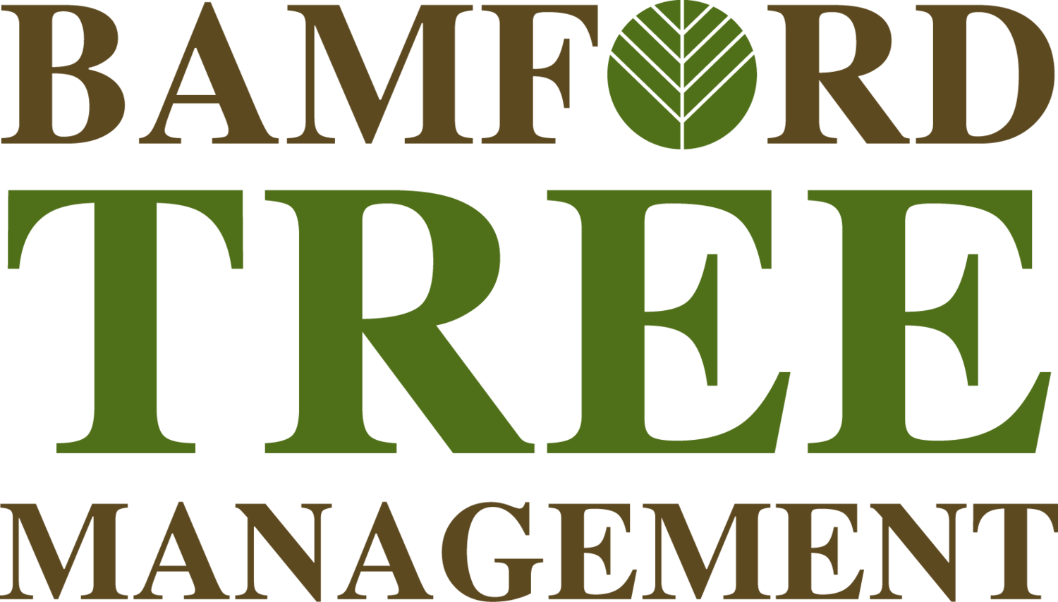 Bamford Tree Management