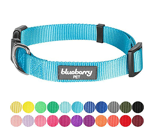 dog-collars.png