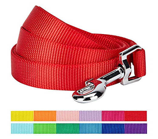 dog-leashes.png