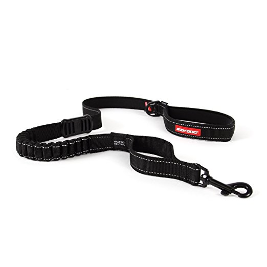 dog-heavy-leash.jpg