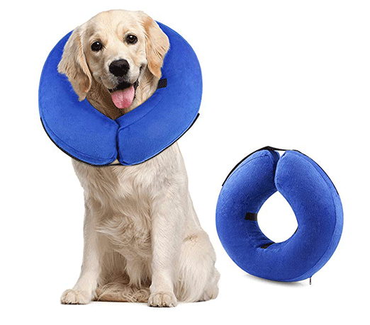 dog-protective-collar.png