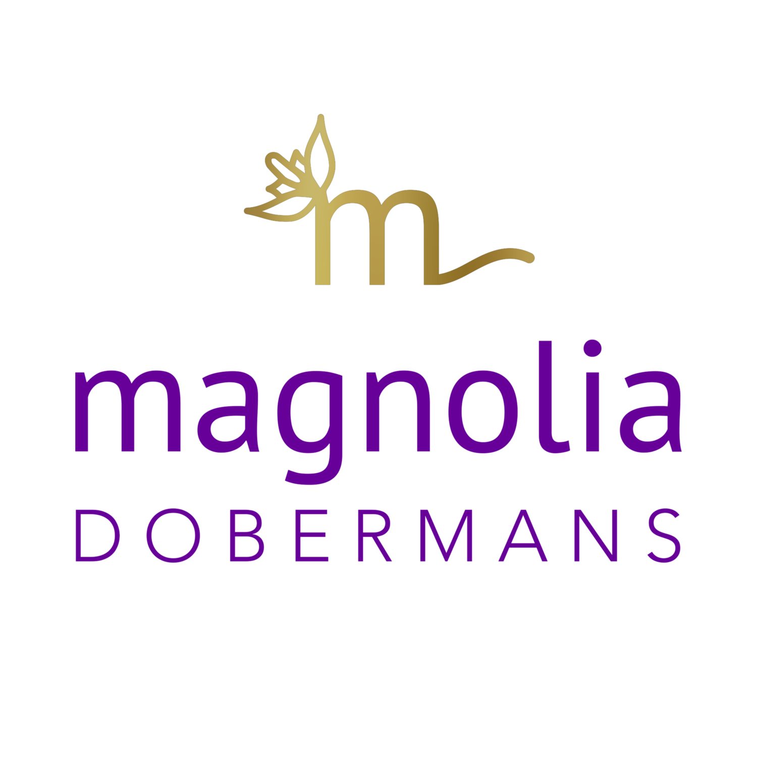 Magnolia Dobermans
