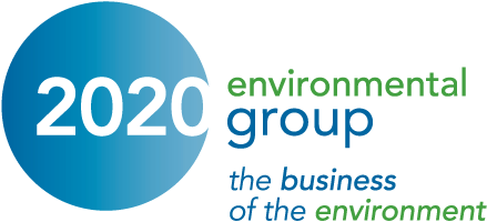 2020 Environmental Group