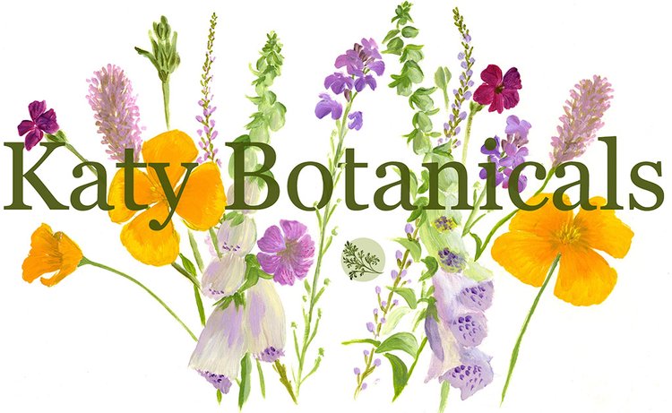 Katy Botanicals