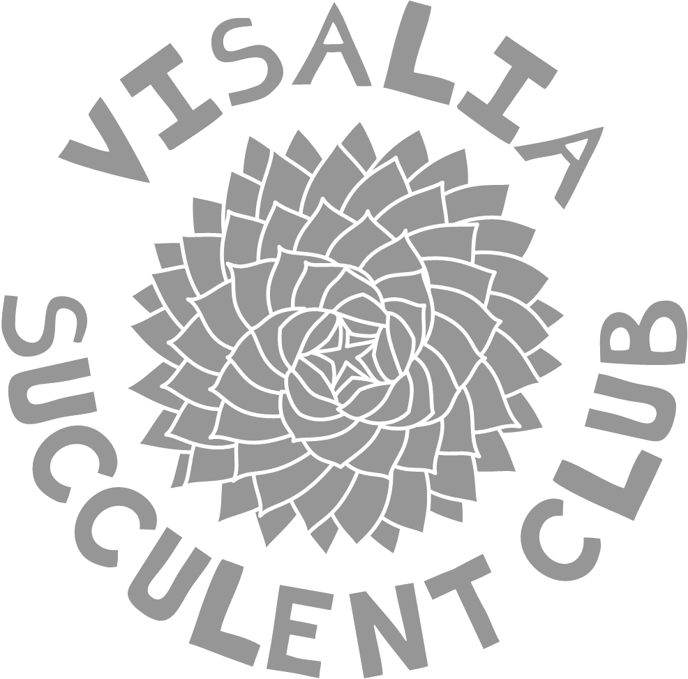 Visalia Succulent Club