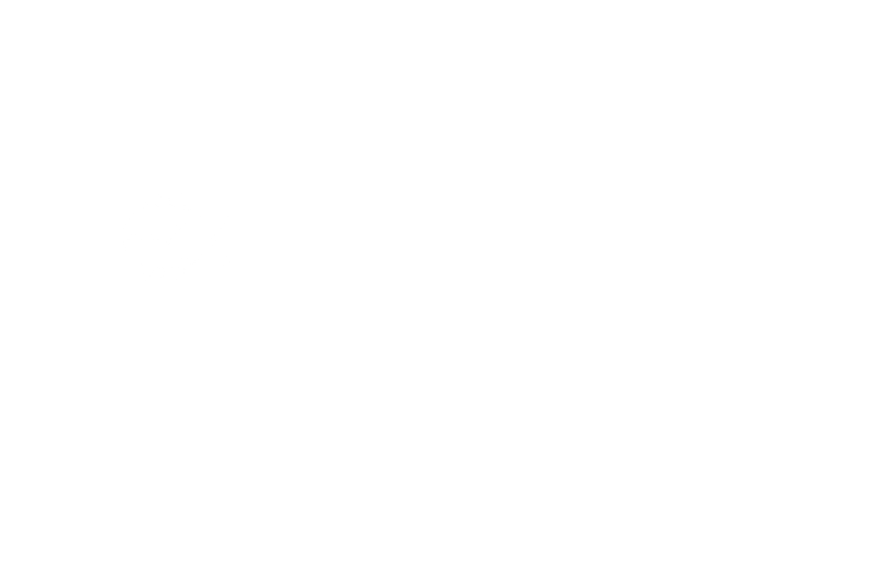 Beetle Moment Marketing