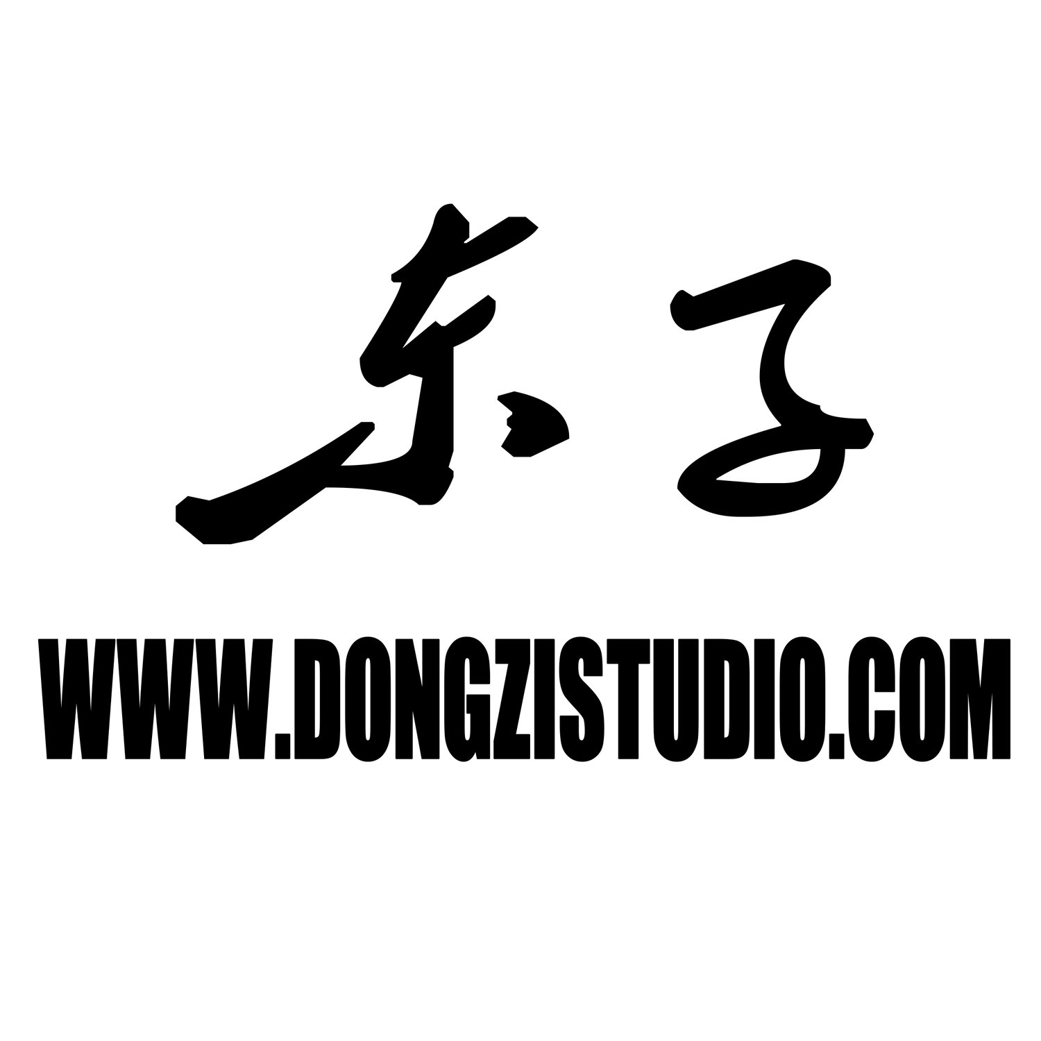 DongZi Studio