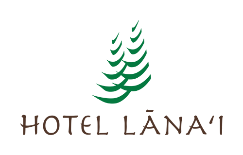 Hotel Lanai