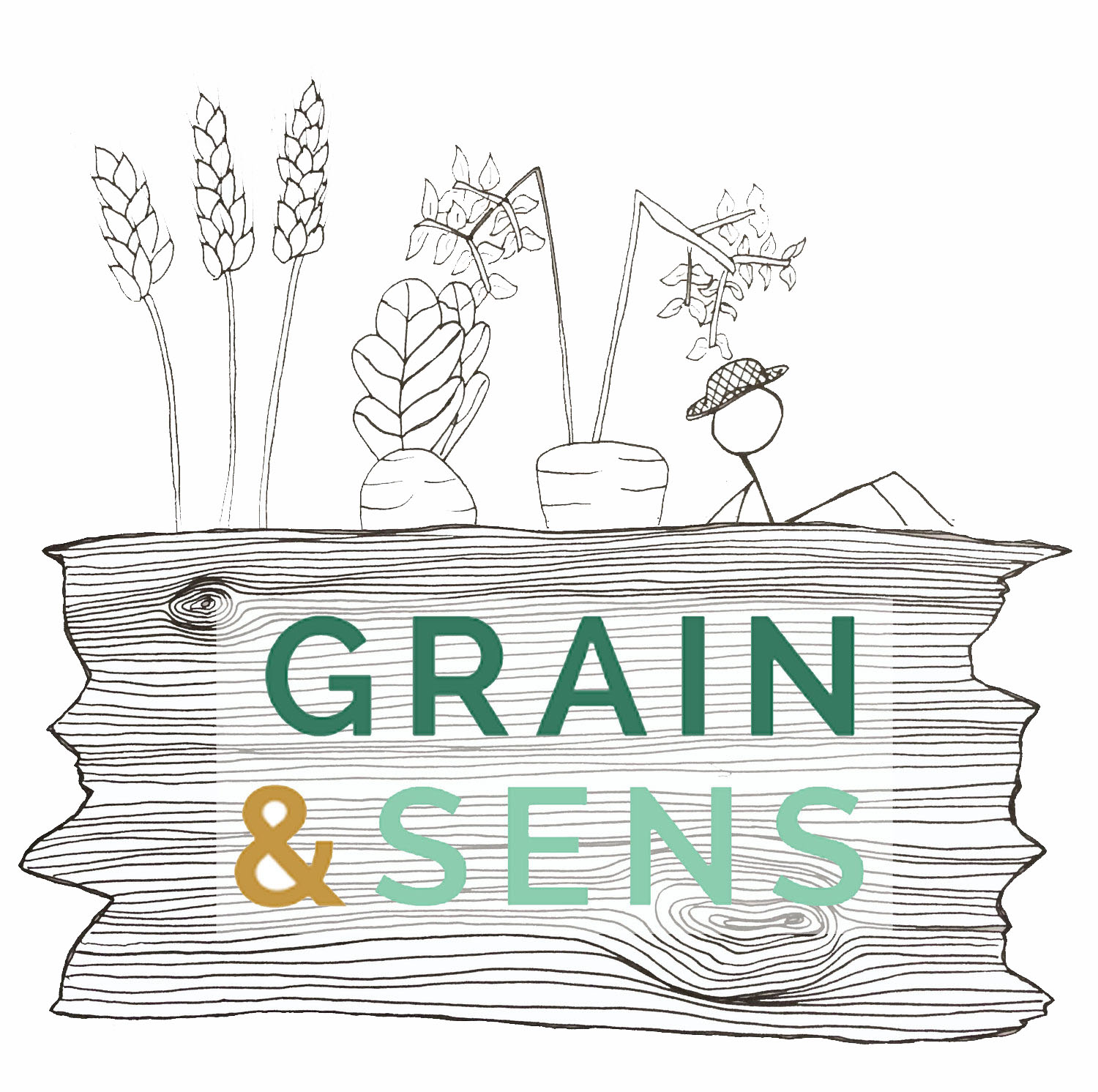 Grain&Sens