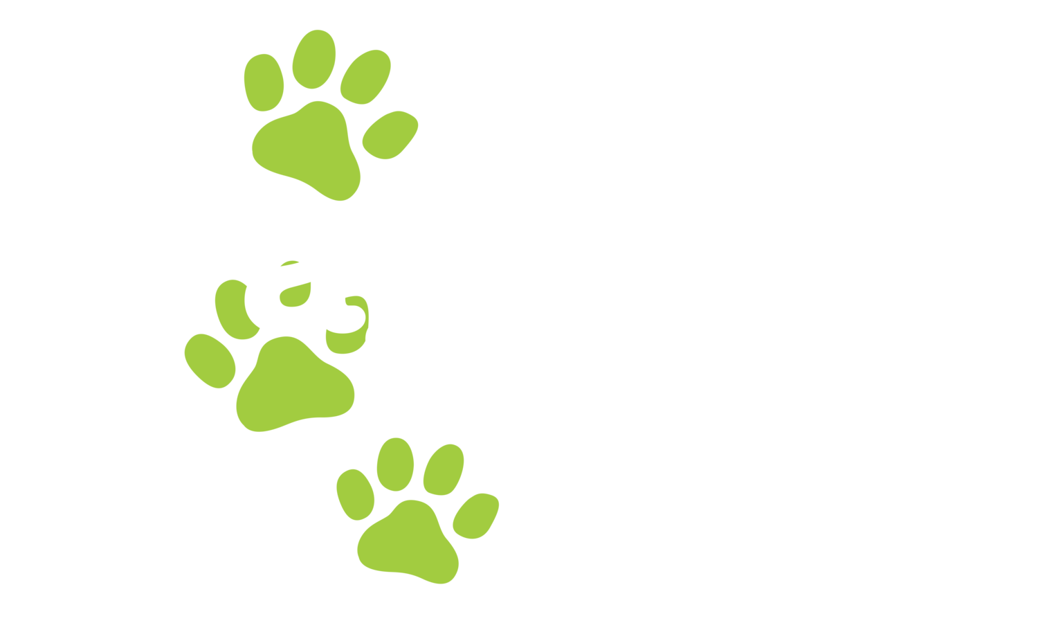 Puppy Pre-School Perth | Dog Training Perth | Waggle Tails