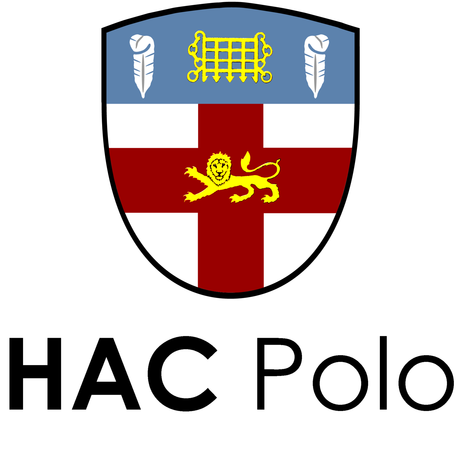 HAC Polo Team