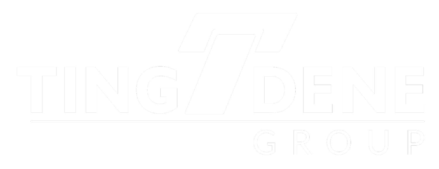 Tingteam