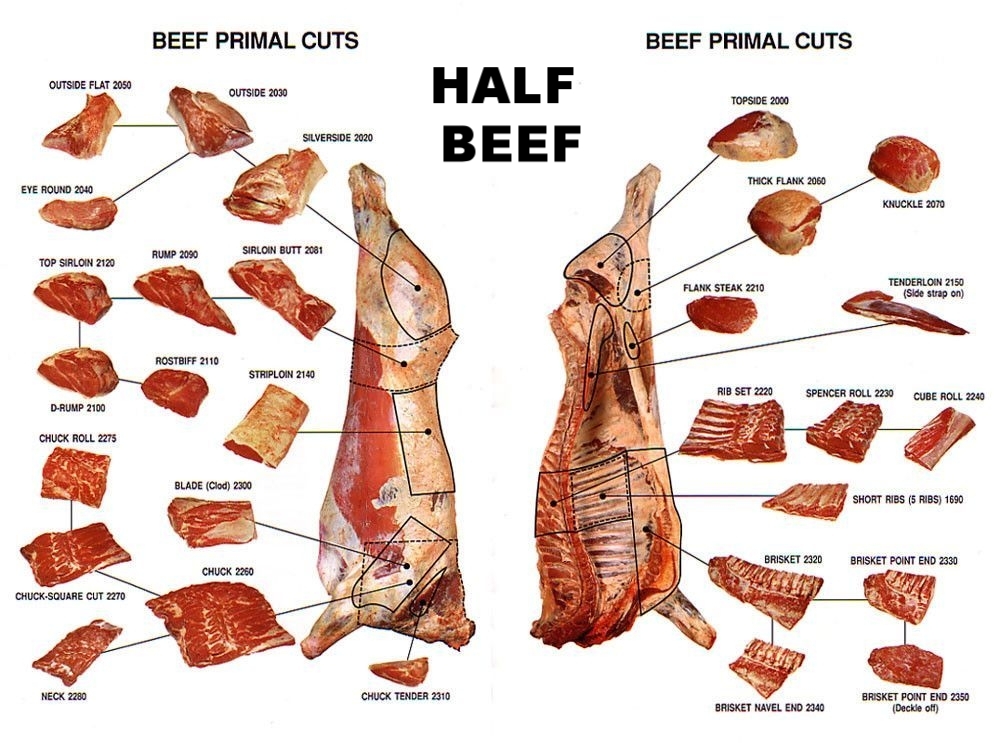 Half Cow Butcher Cuts All About Cow Photos