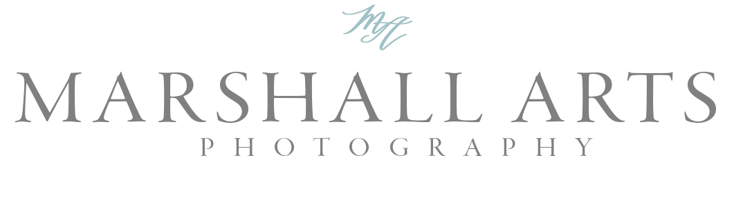 Virginia Wedding Photographers | Marshall Arts Photography