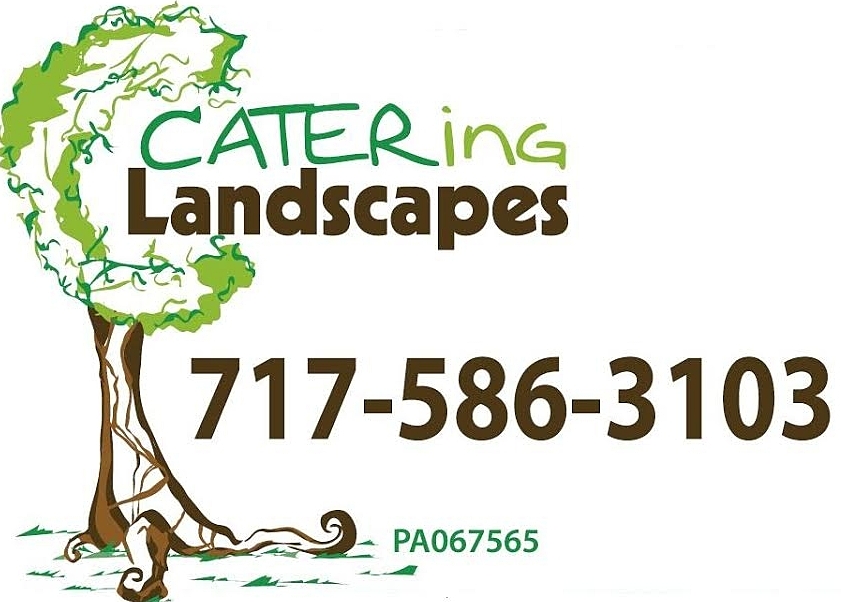 Catering Landscapes