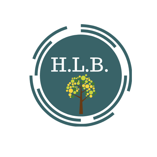 HLB Financial Solutions LLC