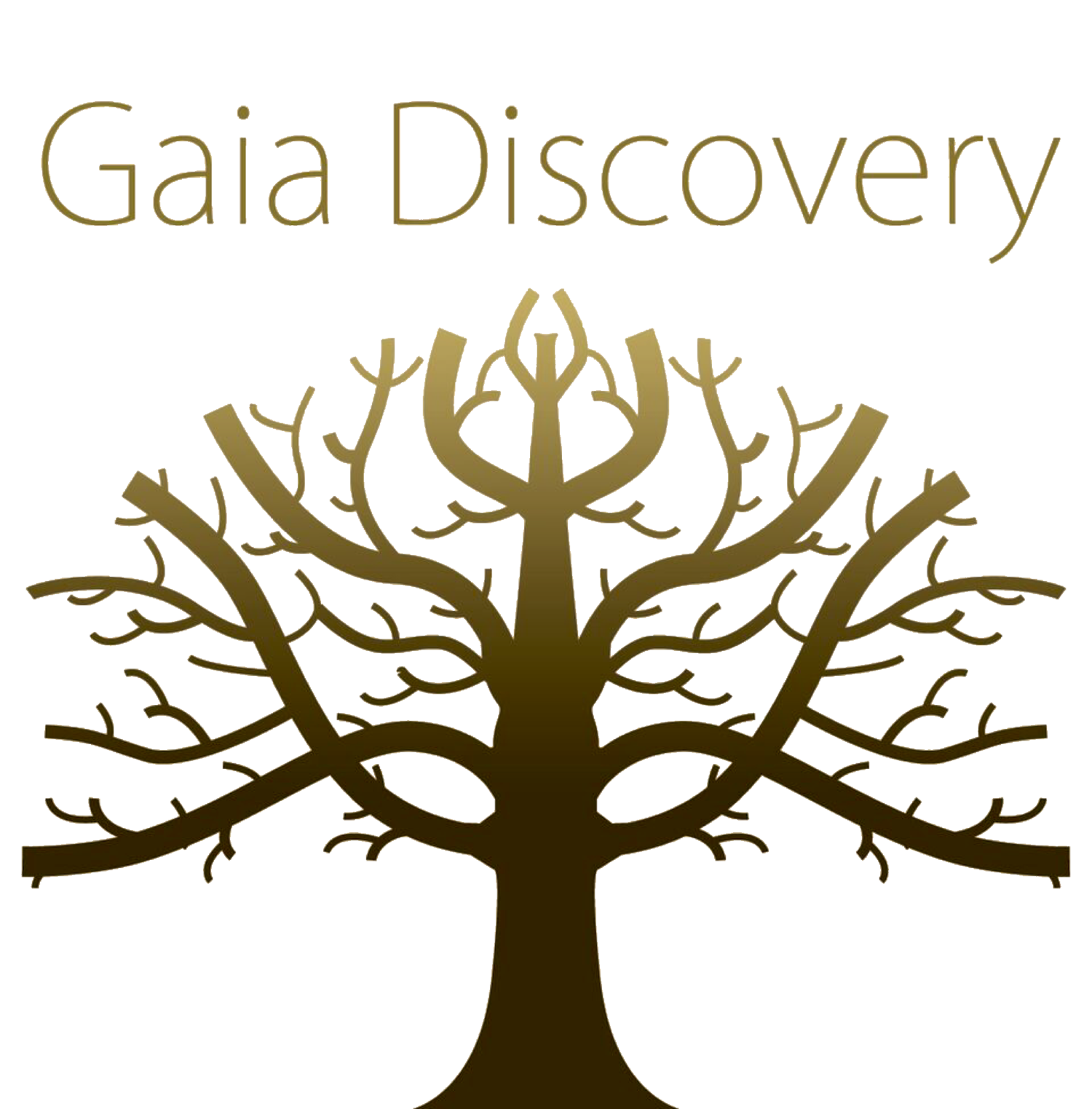 Gaia Discovery