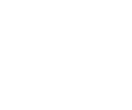 Ipso Facto Solutions