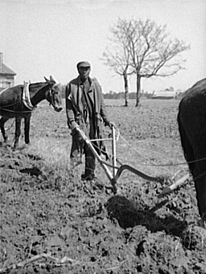 Sharecropper_plowing_loc.jpg