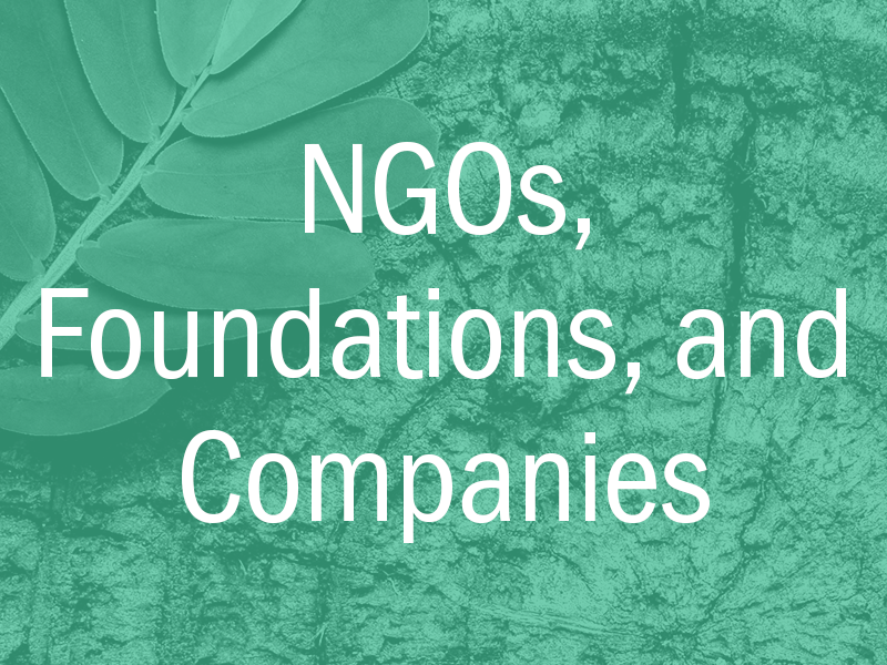 NGOs, foundations, companies