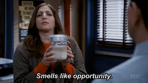 giphy3.gif