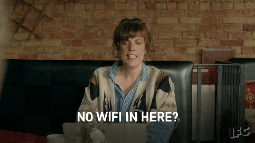 giphy5.gif