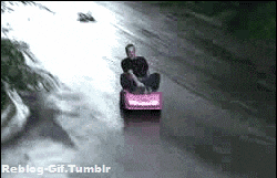 吉菲4.gif
