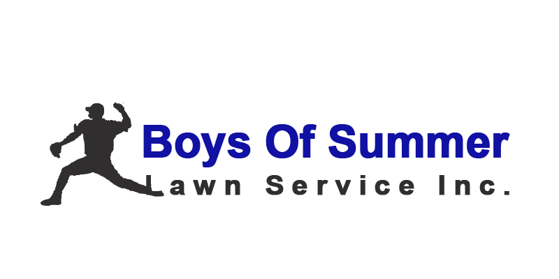 Boys Of Summer Inc
