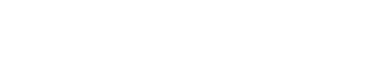 Tryggere Ruspolitikk