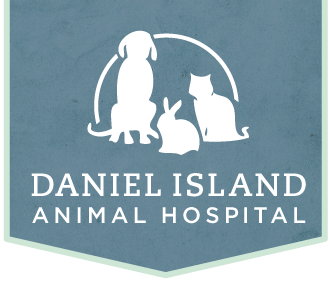 Daniel Island Animal Hospital