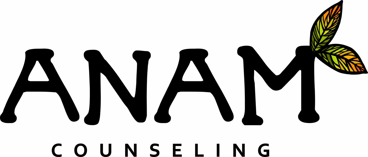 Anam Counseling Twin Cities