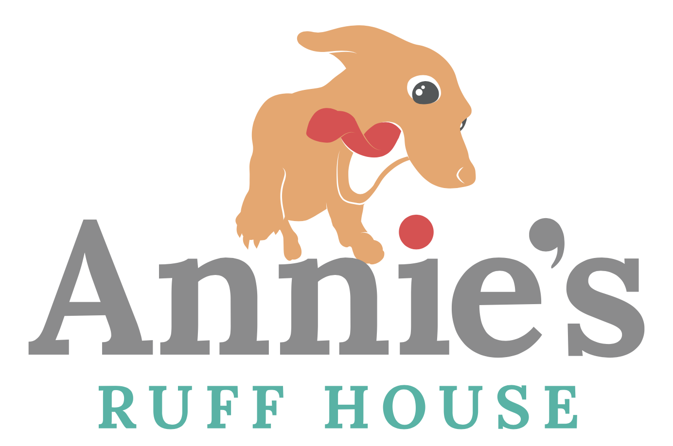 Ruff 2025 house boarding