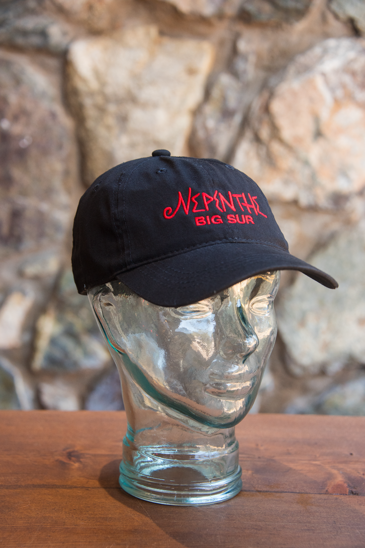 logo baseball cap