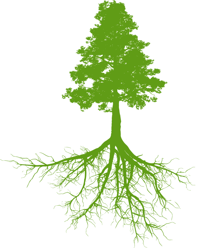 Red Cedar Landscapes