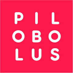 Pilobolus