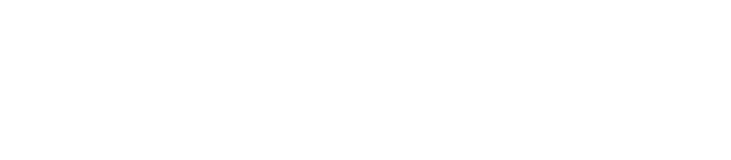 South Asian Health Foundation