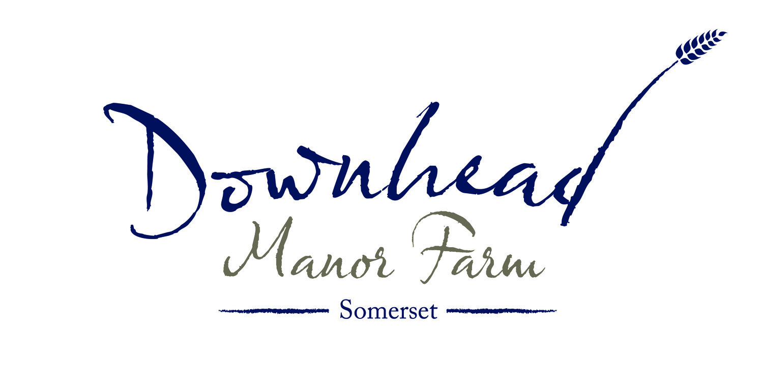 Downhead Manor Farm