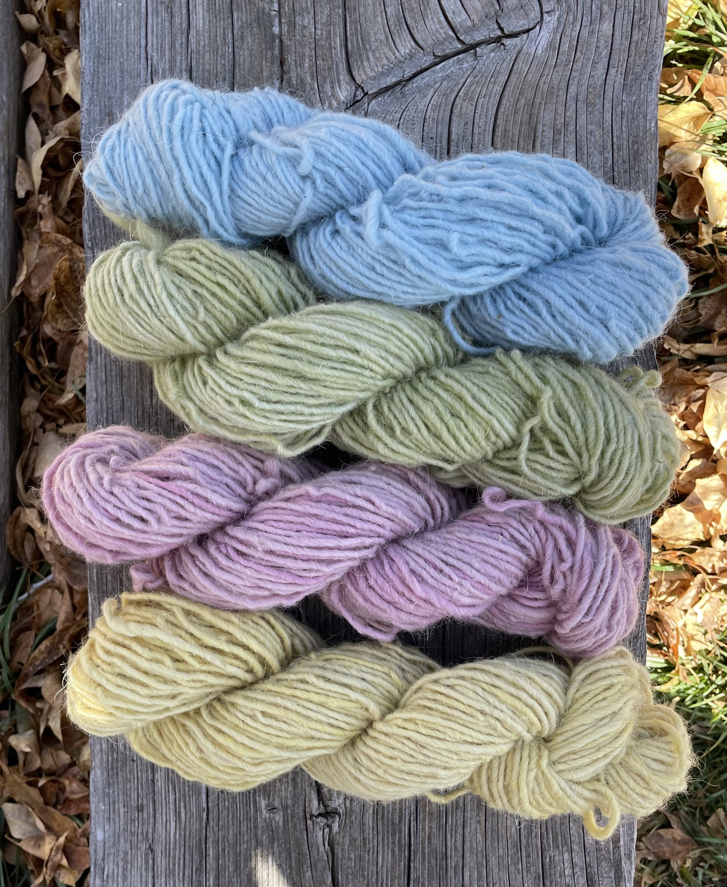 Churro Blanket Yarn Sale — Tierra Wools