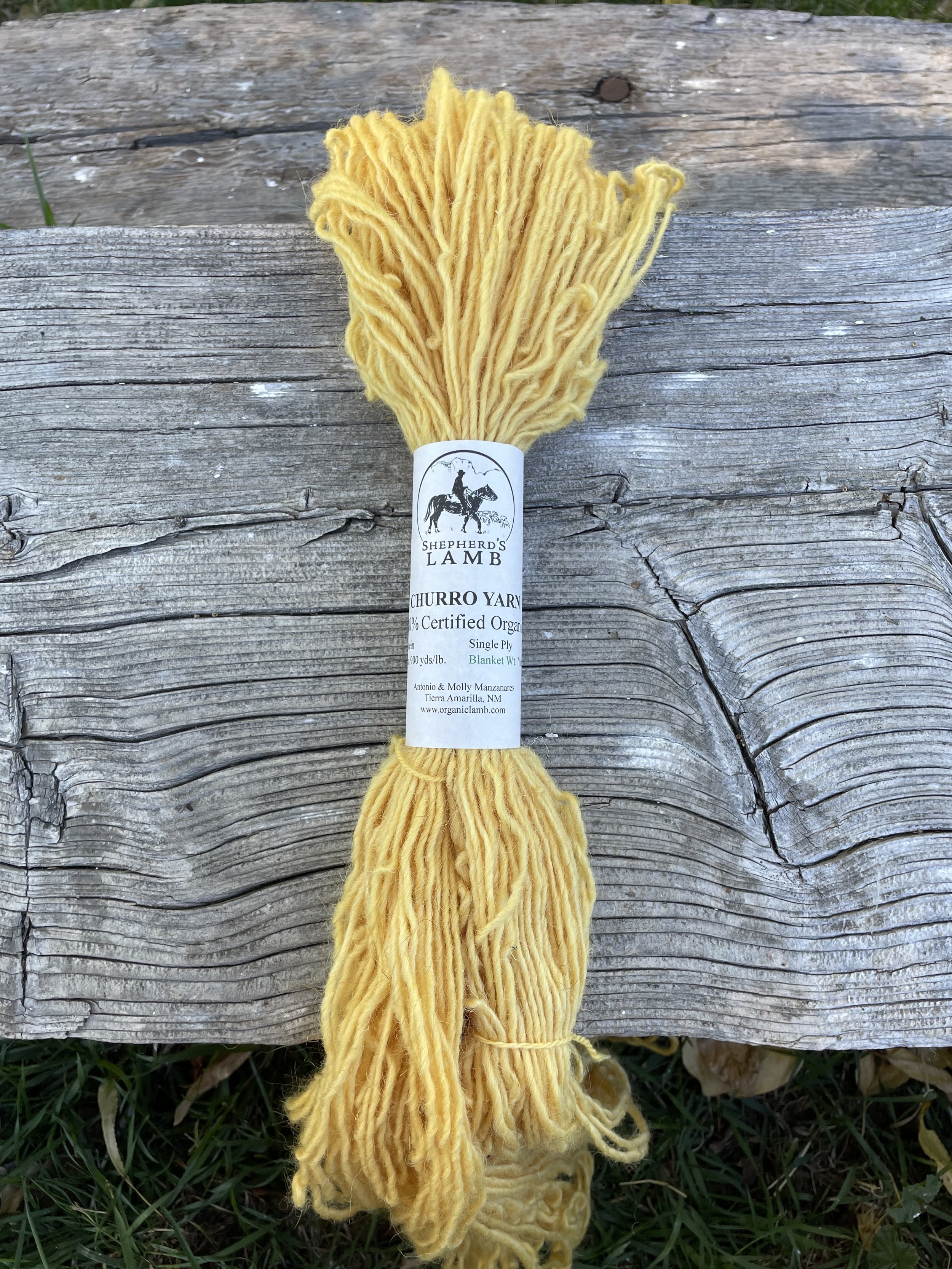 Churro Rug Yarn | Limited Collection | Greens — Tierra Wools