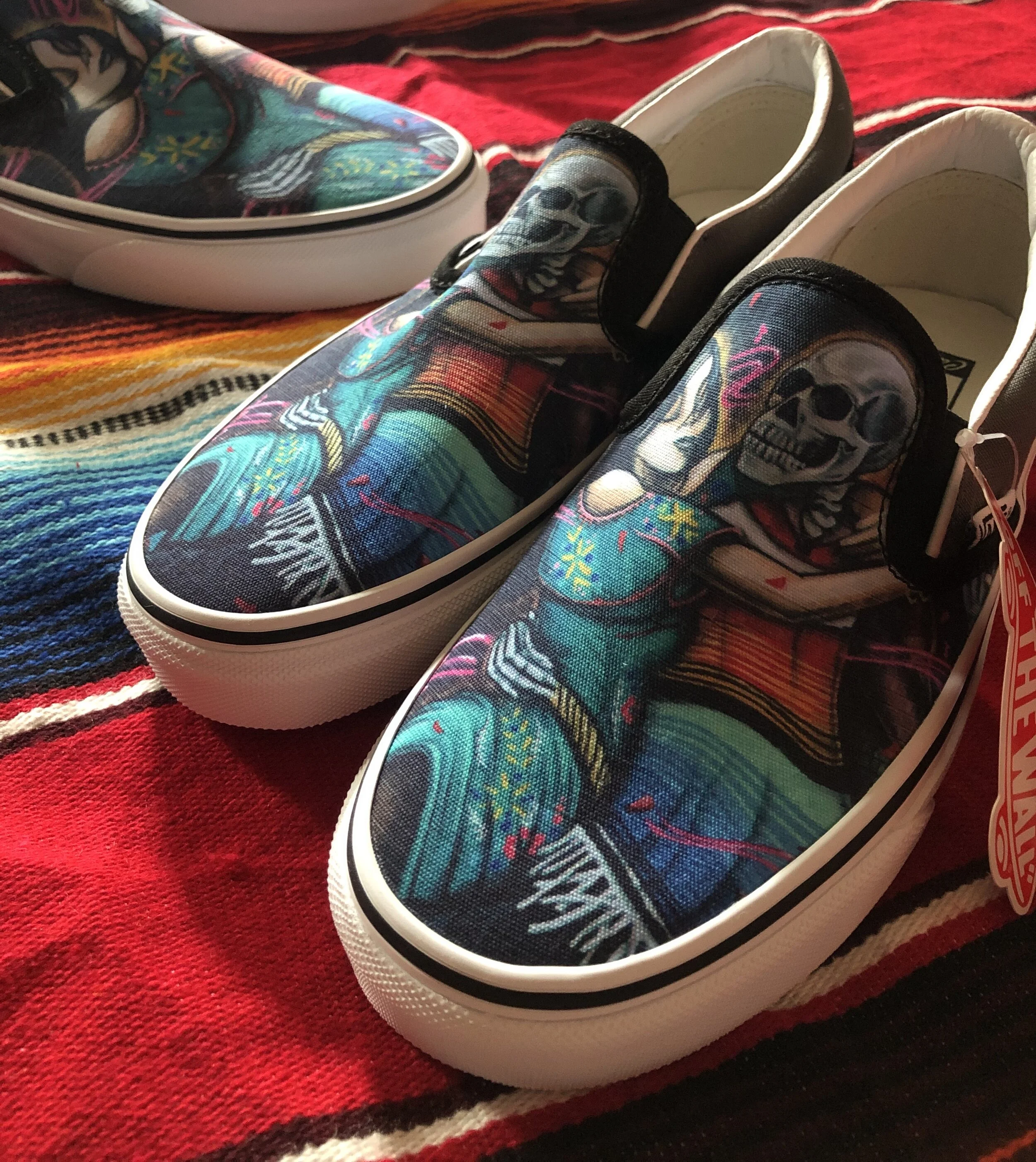 dia de vans slip on