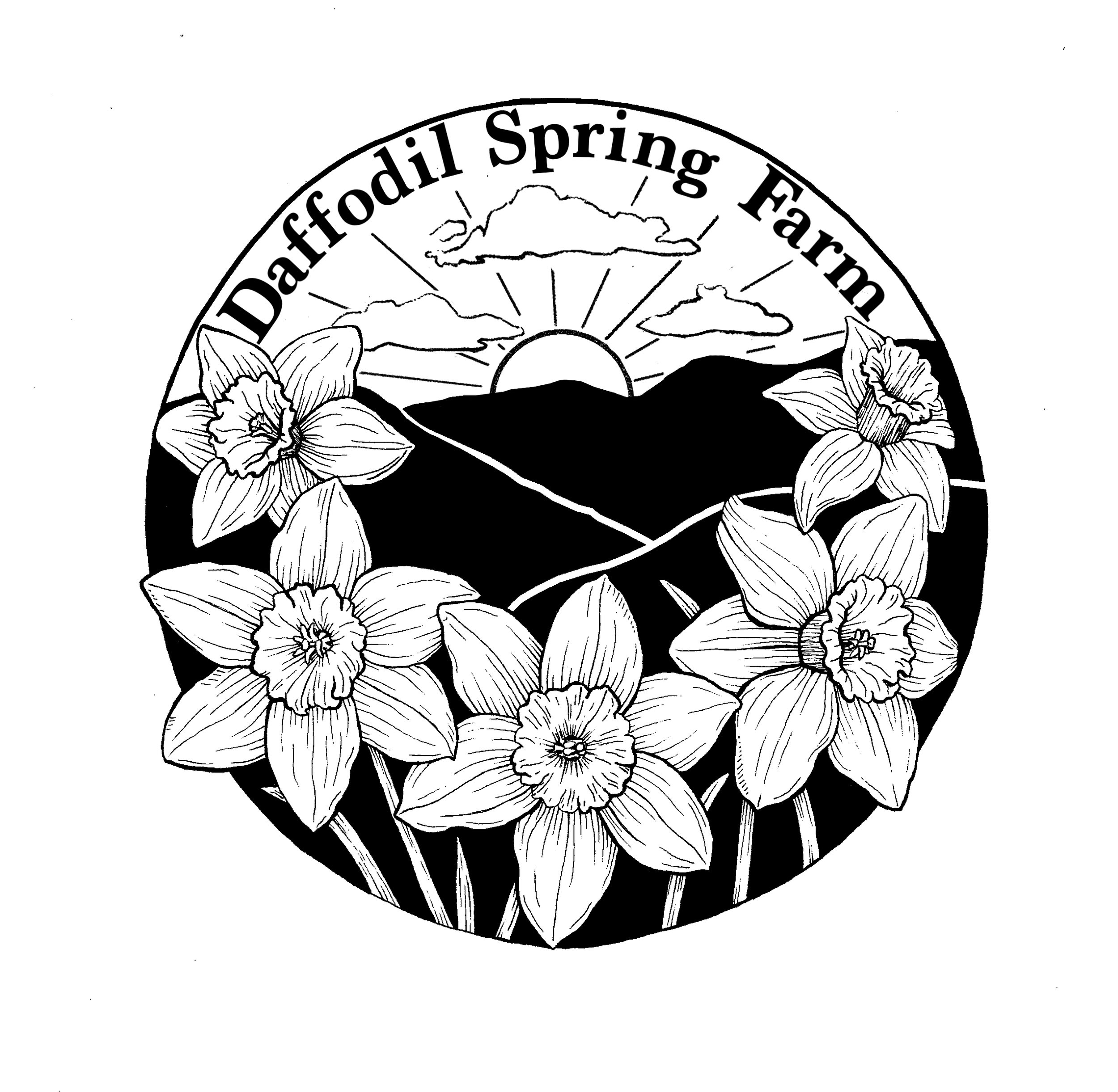 Daffodil Spring Farm