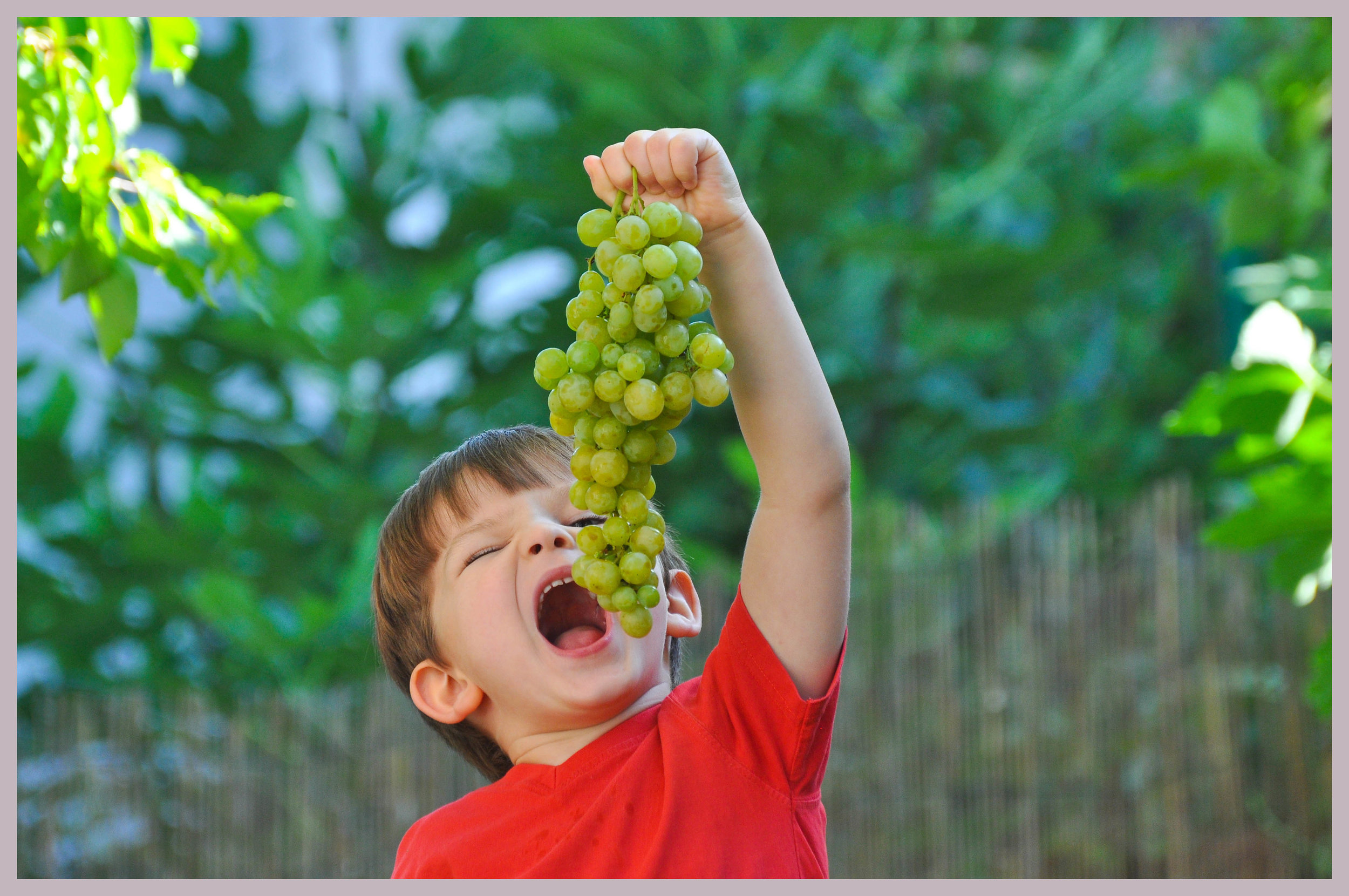 Супер детка в виноградной роще