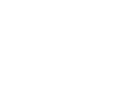 Berkley Community Schools Bands