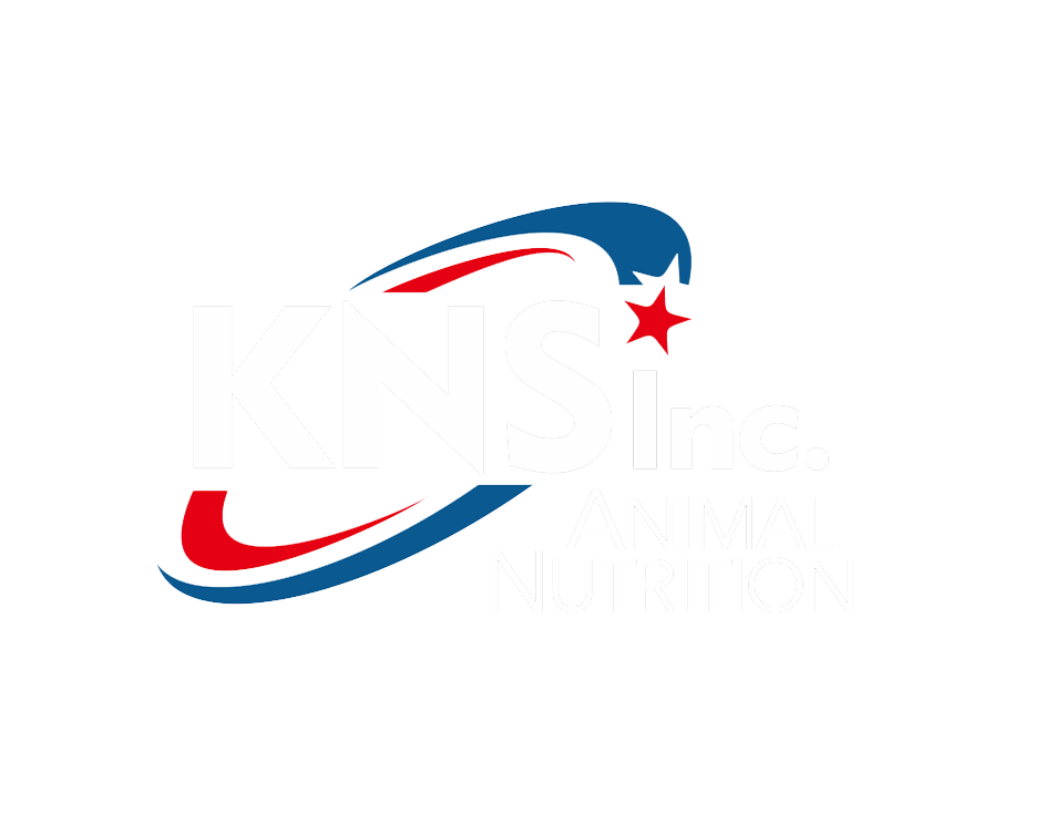 KNS Inc.