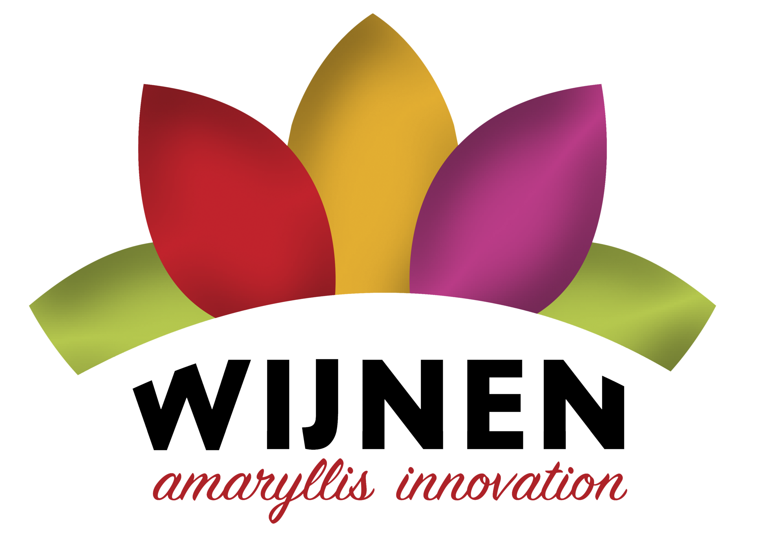 Wijnen Amaryllis Innovation