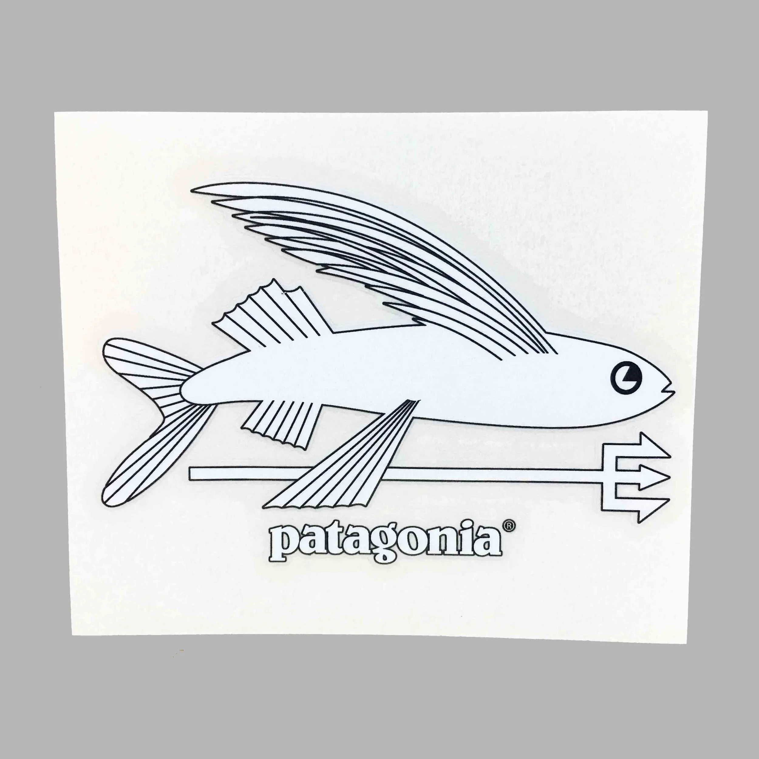 patagonia small flying fish