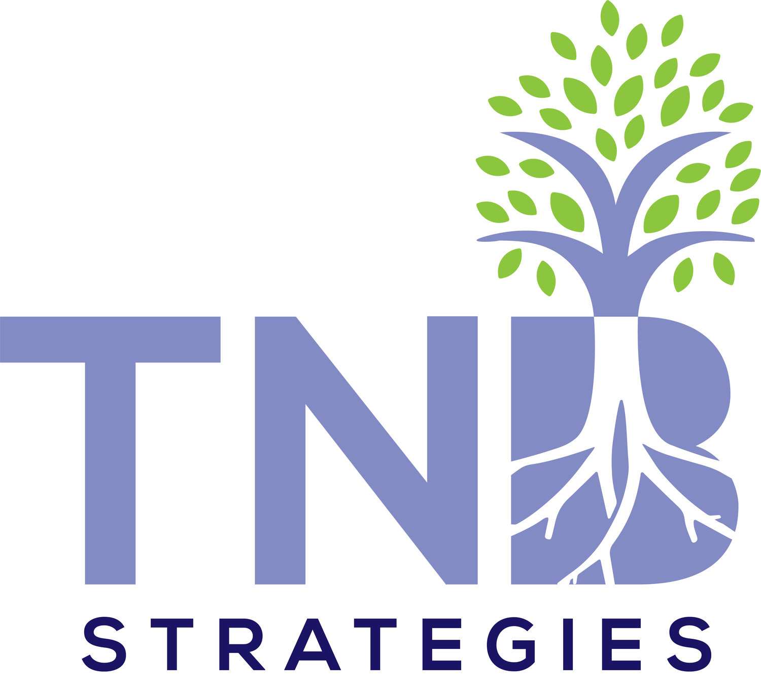 TNB Strategies