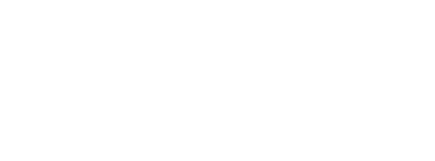 Saraga & Cirino, PLLC