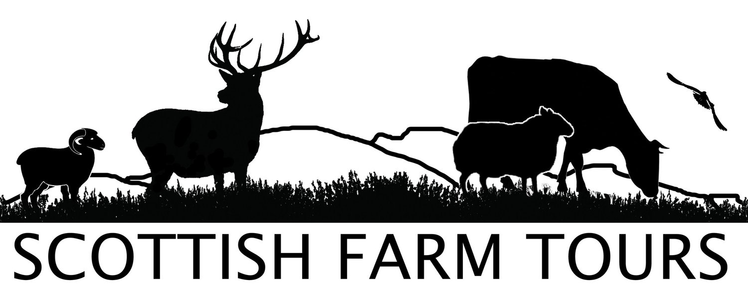 Scottish Farm Tours